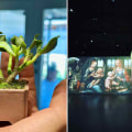 Photography at Exhibitions in Maricopa County, AZ: What You Need to Know