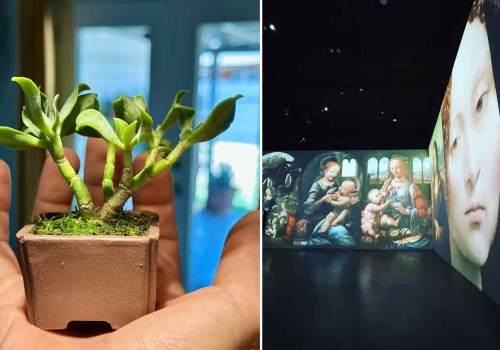 Photography at Exhibitions in Maricopa County, AZ: What You Need to Know